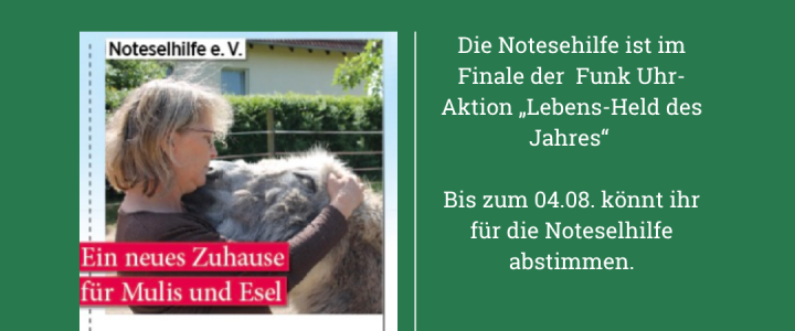 📌 Jetzt zählt jede Stimme! 💛🎉 Finale: Lebens-Held des Jahres!