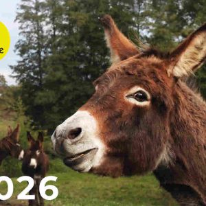 Noteselhilfe-Kalender 2026