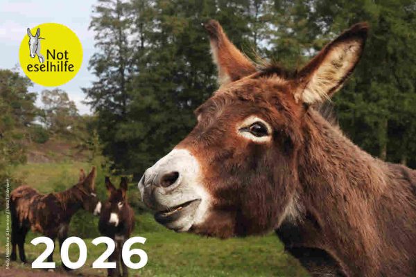Noteselhilfe-Kalender 2026