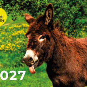 Wandkalender 2027