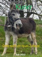 Juli 2022