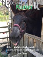 Juli 2023