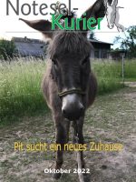 Oktober 2022