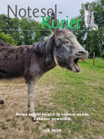 Juli 2024