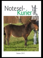 Januar 2013