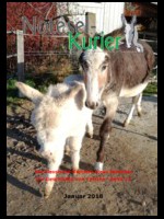 Januar 2018
